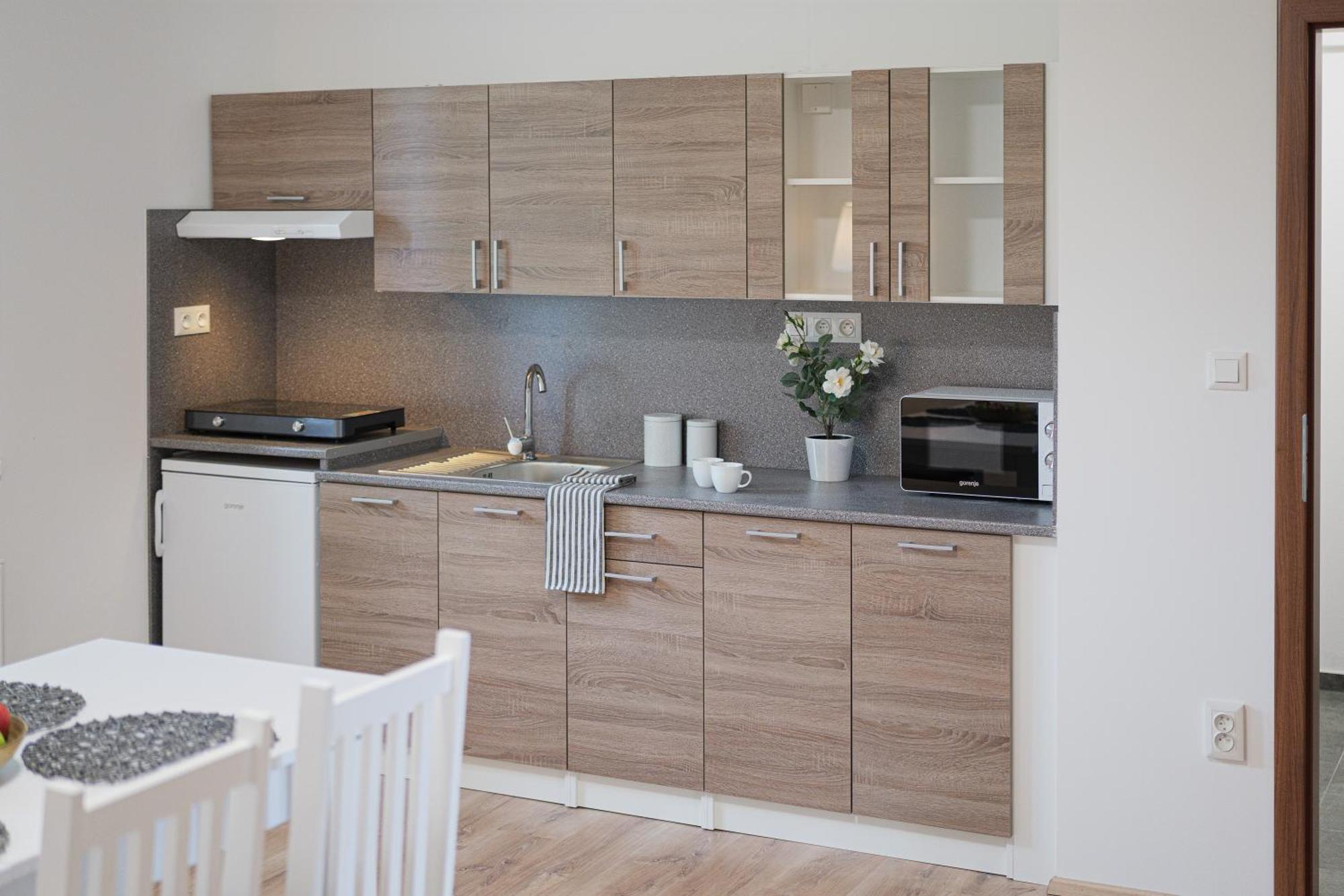 Apartment Tvm 1 *